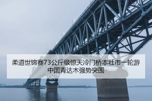 rou-dao-shi-jin-sai-gong-jin-ji-jing-tian-leng-men-qiao-ben-zhuang-shi-yi-lun-you-zhong-guo-qing-da-mu-qiang-shi-tu-wei-2-387.jpg