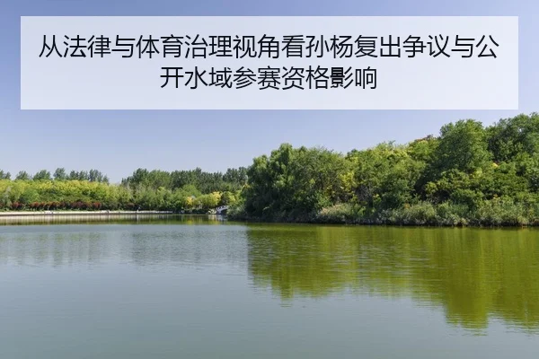 cong-fa-lv-yu-ti-yu-zhi-li-shi-jiao-kan-sun-yang-fu-chu-zheng-yi-yu-gong-kai-shui-yu-can-sai-zi-ge-ying-xiang-2-511.jpg